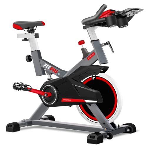 Fitfiu Fitness BESP-100 - Bicicleta indoor con disco de inercia de 16...