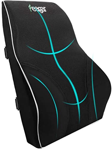 Feagar Cojin Lumbar Coche con Esponja Memoria, Respaldo Lumbar Ergonómico Soporte de...