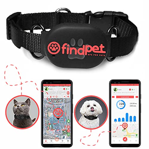 findPet Localizador GPS para Gatos y Perros [GPS Mini 2021]. El Collar...