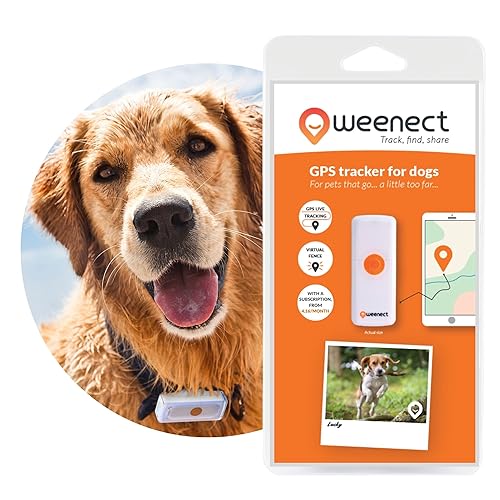 Weenect Dogs 2 - El collar GPS para perros más pequeño del...